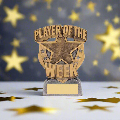 Personalised Gold Player of the Week Trophy, Personalised Sports Trophy, FREE ENGRAVING, Sports Awards, Player of the Week Star Trophy
