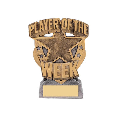 Personalised Gold Player of the Week Trophy, Personalised Sports Trophy, FREE ENGRAVING, Sports Awards, Player of the Week Star Trophy